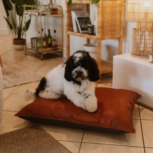 14.png Huntlea Leather Pillow Dog Bed