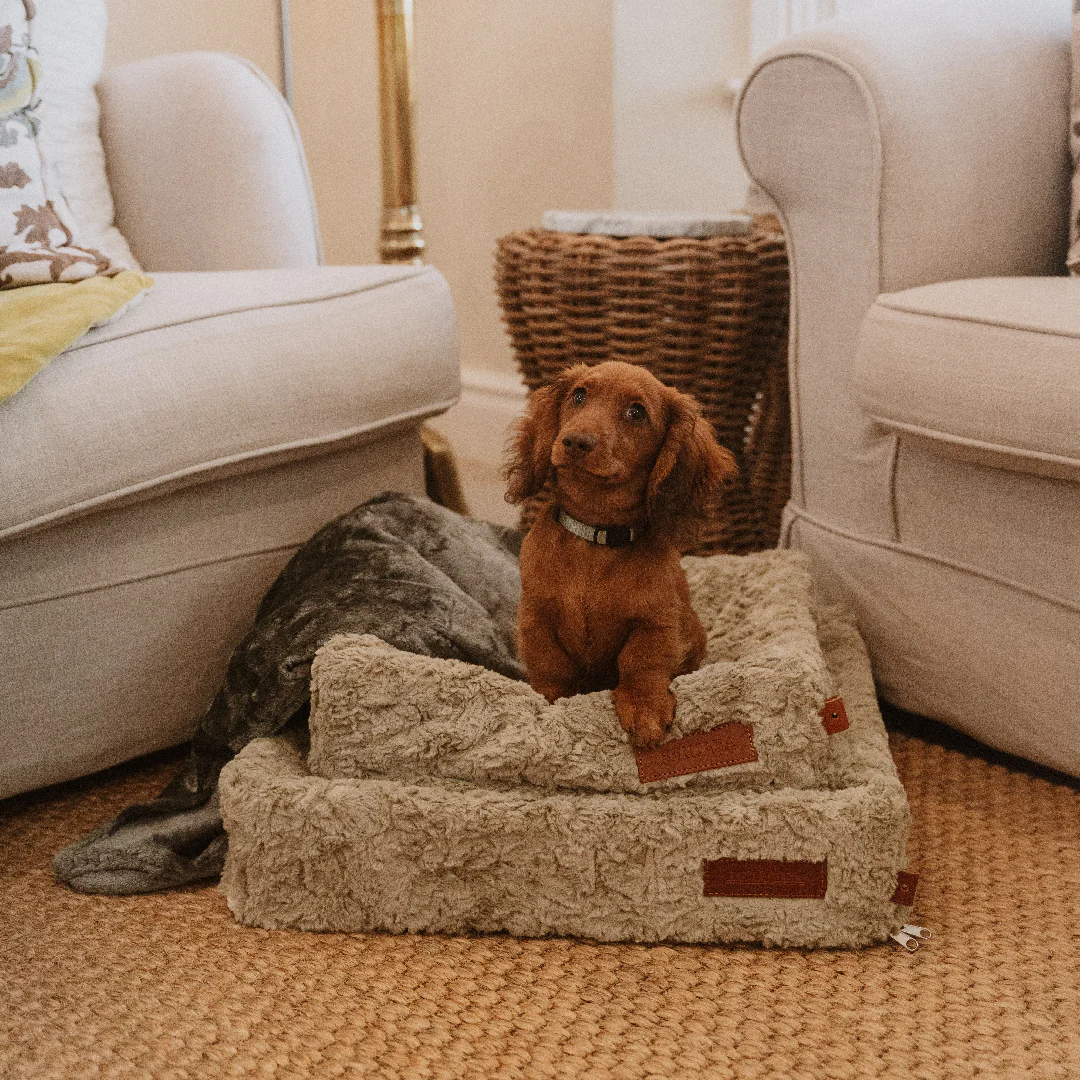 Huntlea Snooza Cube Dog Bed - Image 2