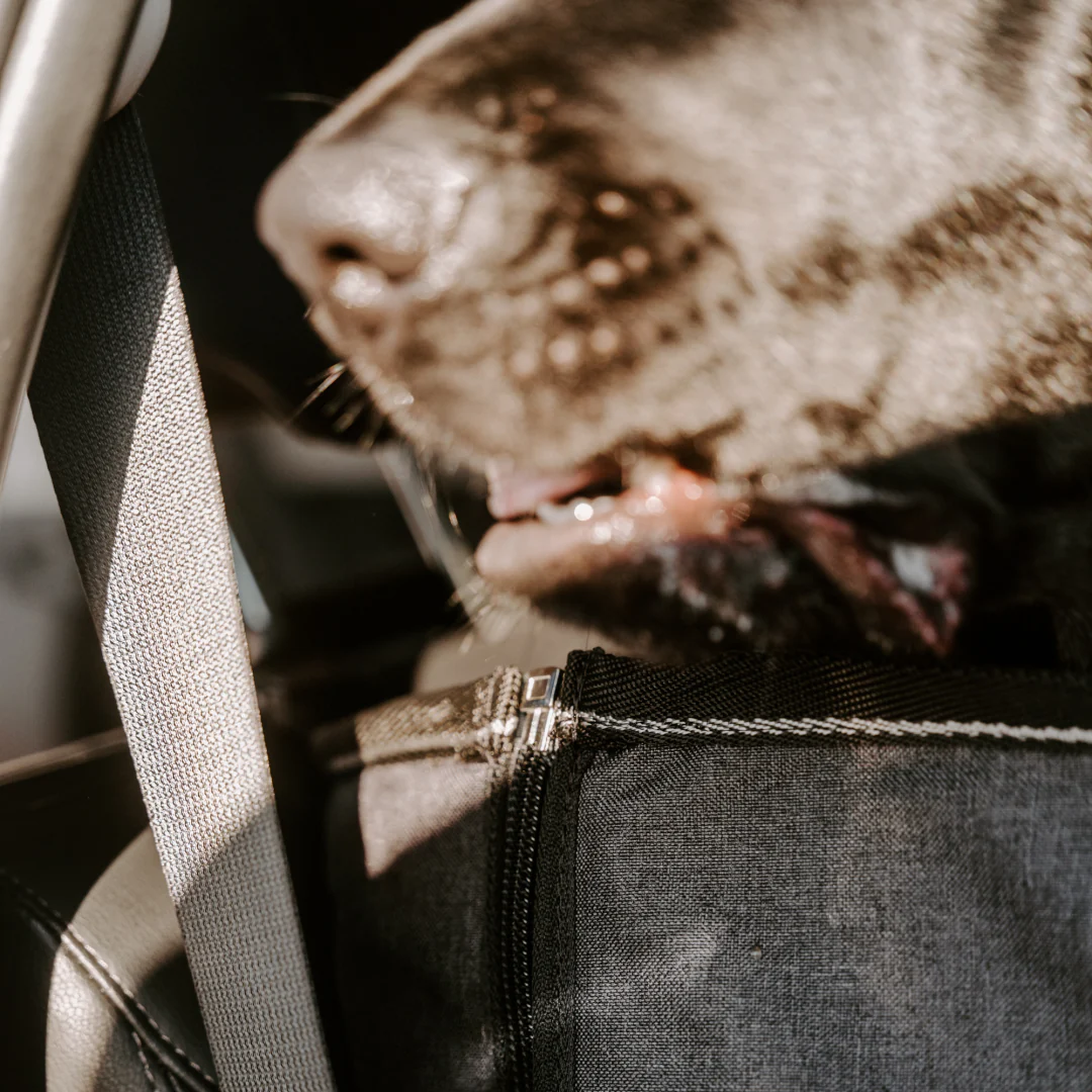 Huntlea Deluxe Back Seat Cover - Image 3