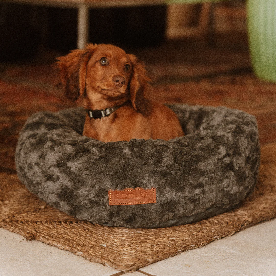 Huntlea Calming Kuddler Round Dog & Cat Bed - Image 4