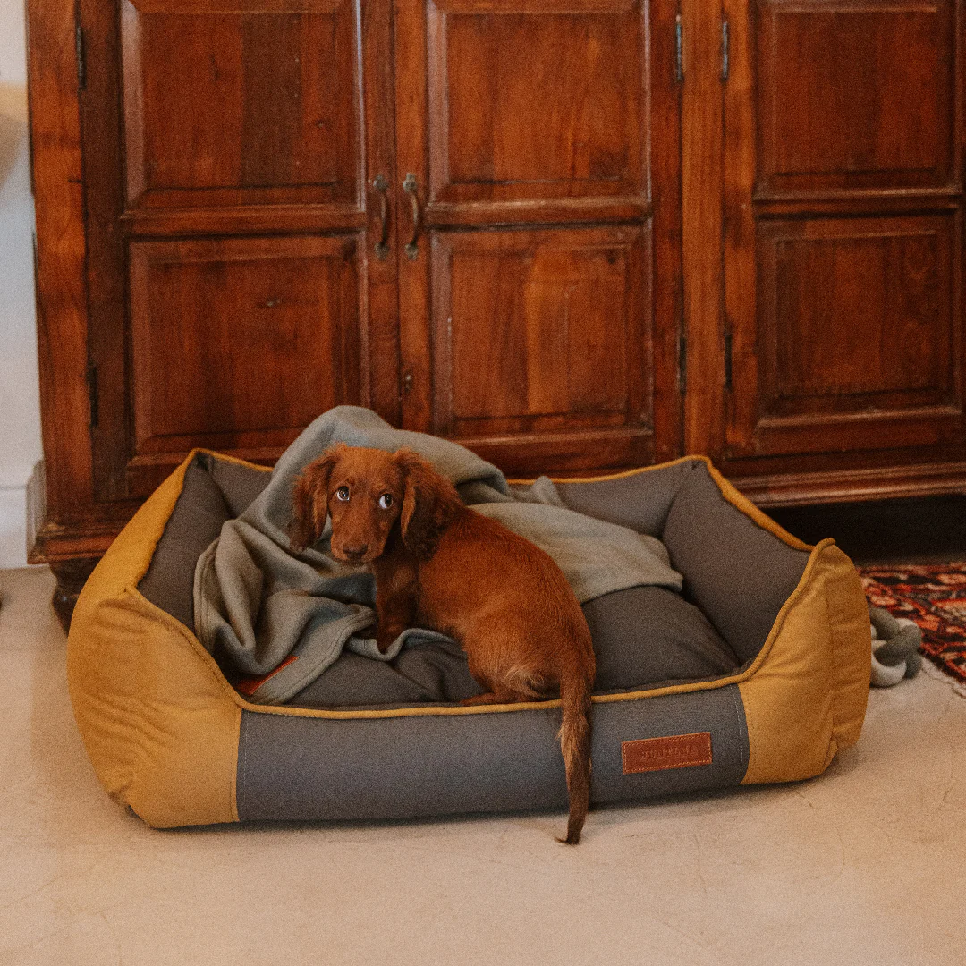 Huntlea All Season Bolster Dog Bed - Image 2