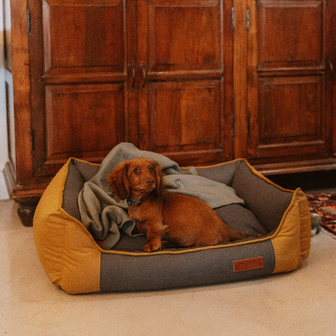 Huntlea All Season Bolster Dog Bed - Image 4