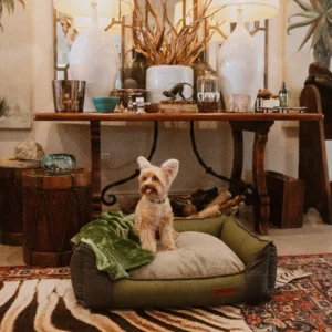 KolettoAllSeason-Lifestyle3.png Huntlea All Season Bolster Dog Bed