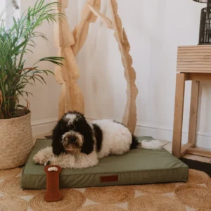 KolettoMemoryfoambed1080px-Lifestyle1.png Huntlea Koletto Memory Foam Dog Bed