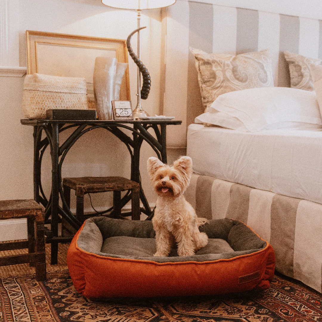 Huntlea Kuddly Bolster Dog Bed - Image 2