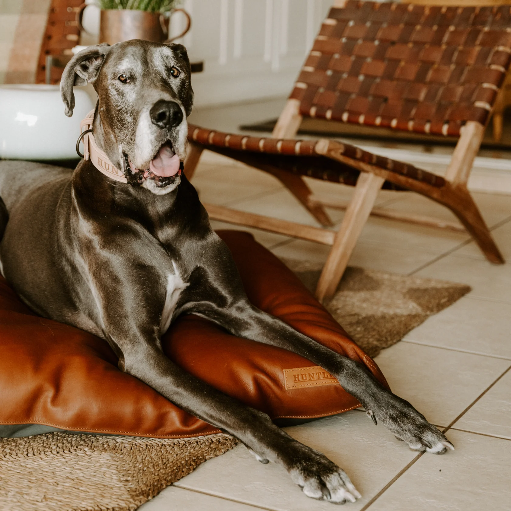 Huntlea Leather Napper Dog Bed - Image 4