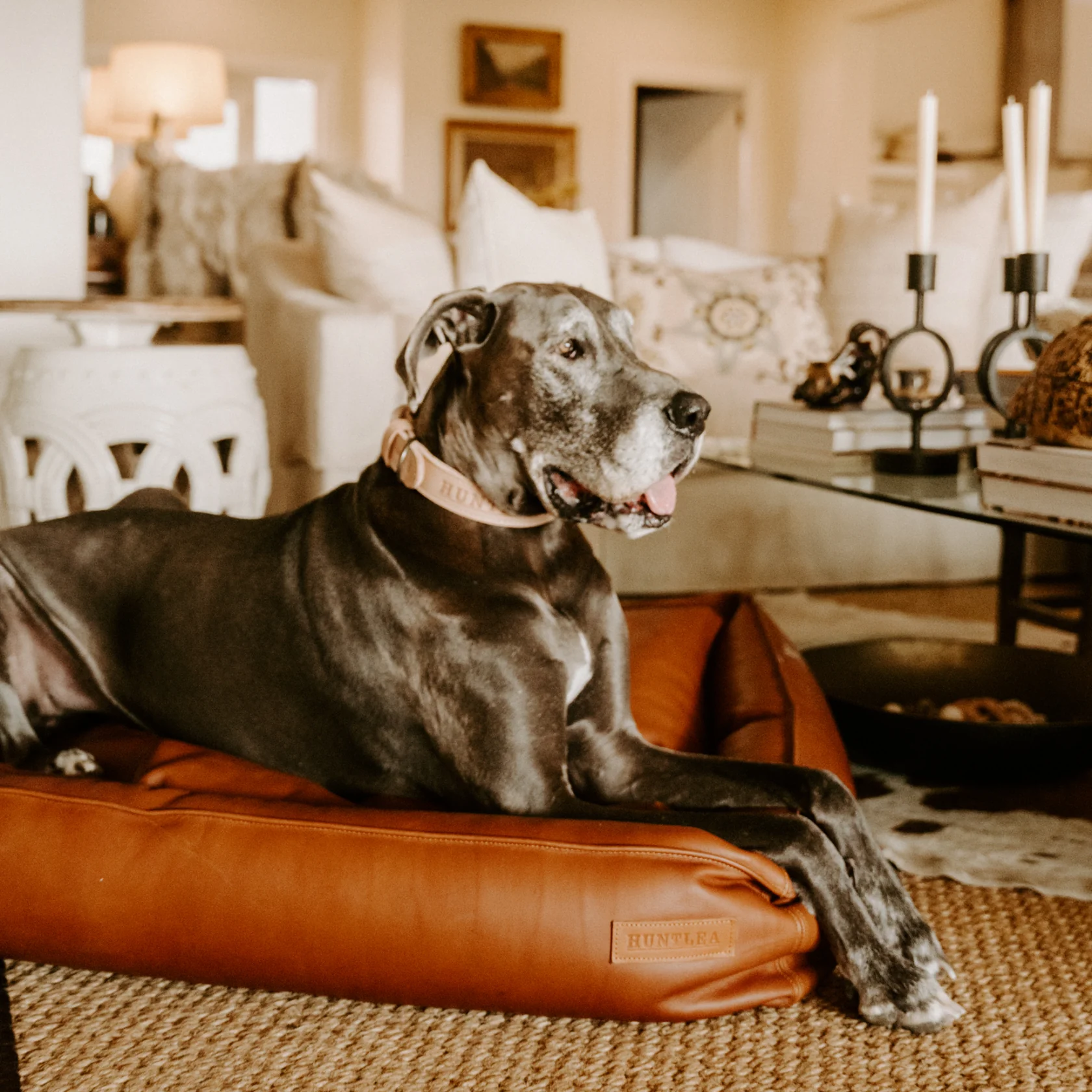 Huntlea Leather Slumber Dog Bed - Image 4
