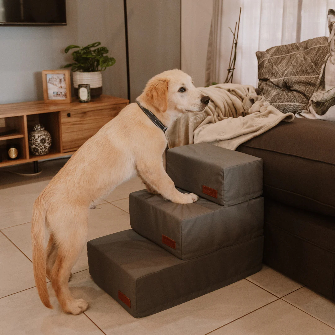 Huntlea Premium Dog Steps - 2 or 3 Step - Image 2