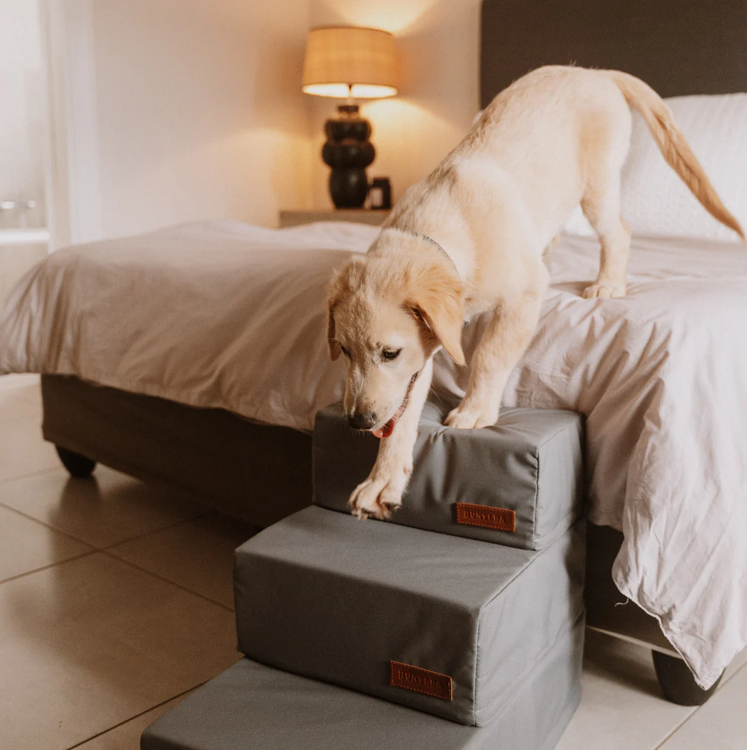 Huntlea Premium Dog Steps - 2 or 3 Step - Image 3