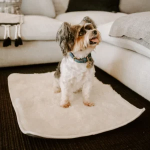 Lifestyleimage-Sheepskinmat.png Huntlea Genuine Sheep Skin Dog Mat