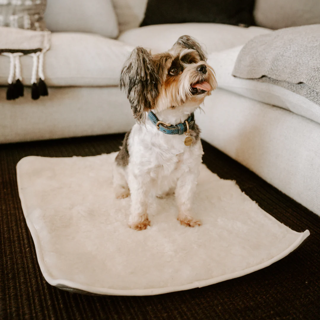 Huntlea Genuine Sheep Skin Dog Mat