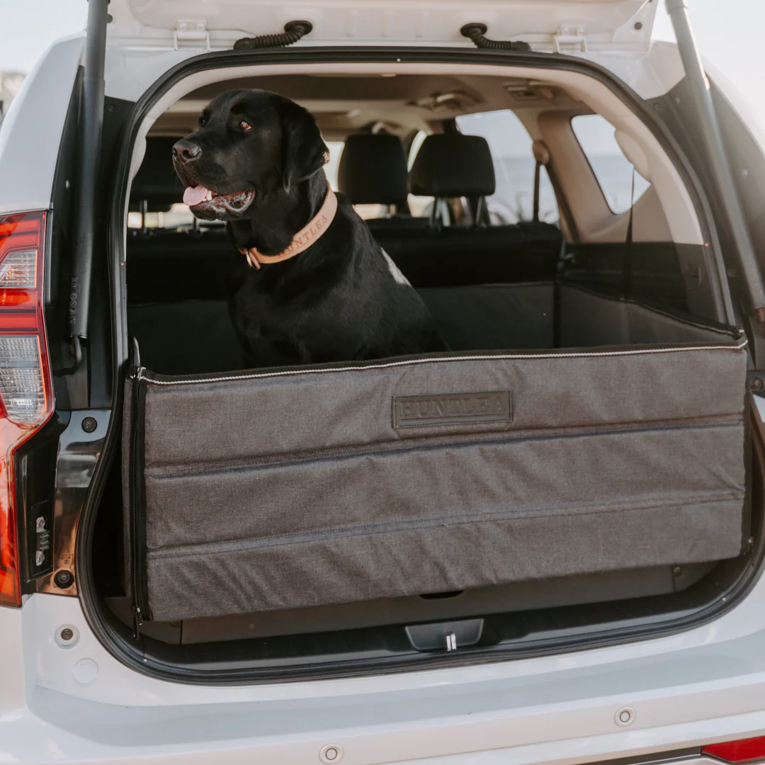 Huntlea Dog Boot Box