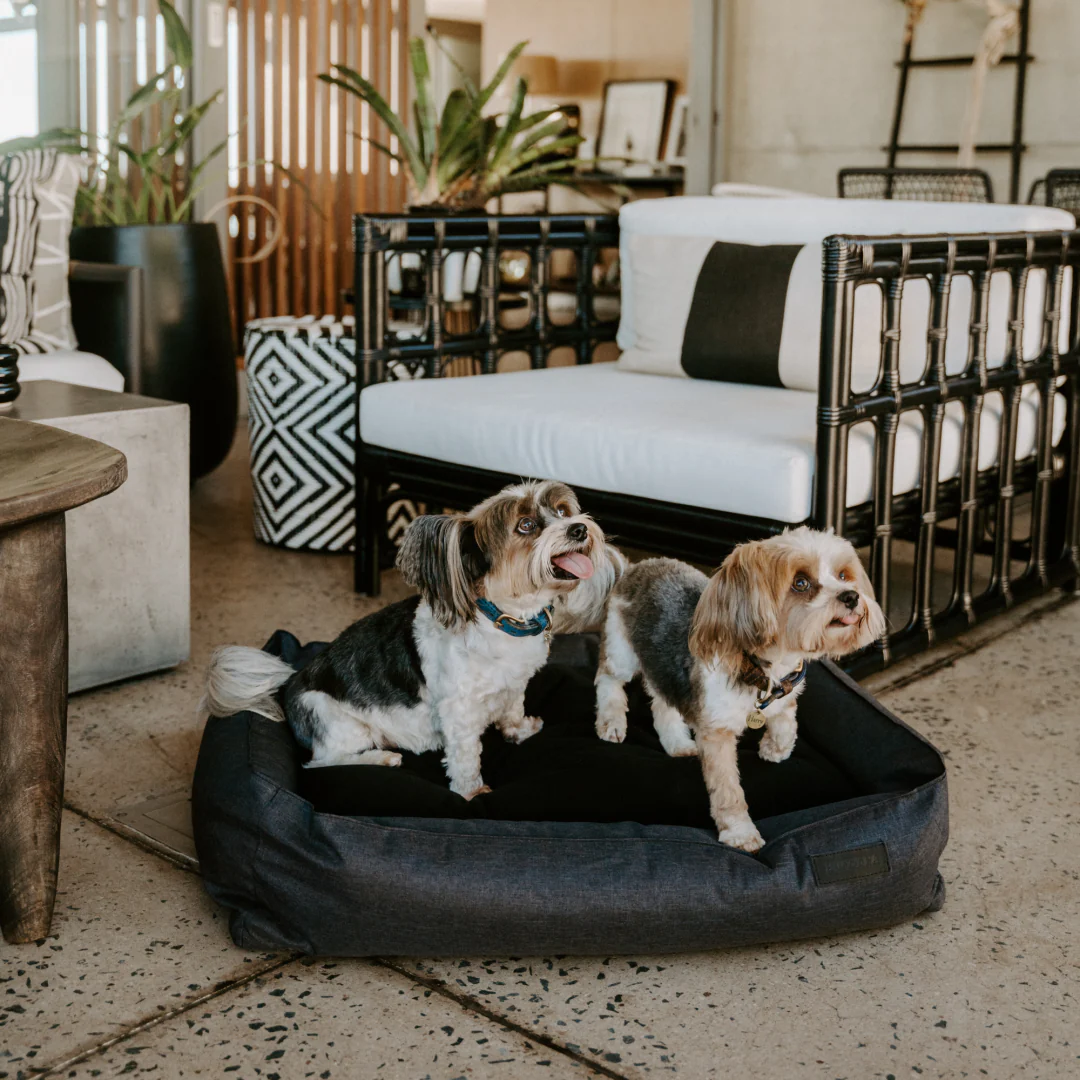 Urban Bolster Dog Bed - Image 3