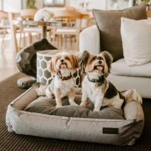 Urban Bolster Dog Bed
