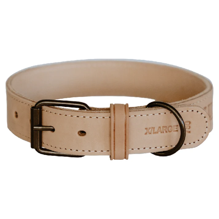 Impala Mighty Plain Dog Leather Collar - Image 4