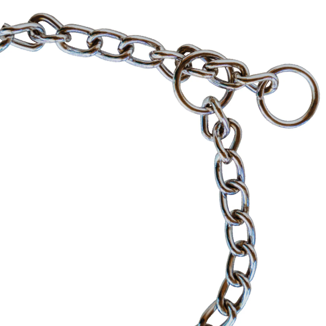 Huntlea Nickel Plated Dog Check Chain - Image 2