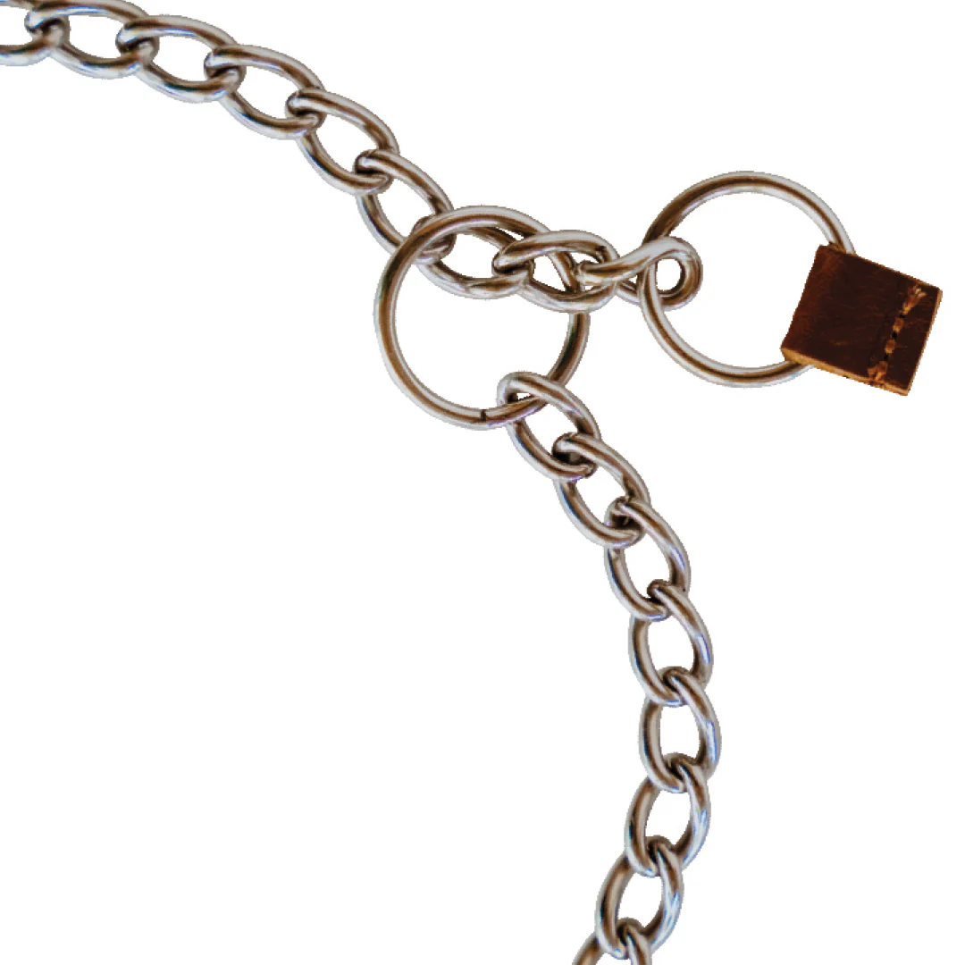 Huntlea Stainless Steel Dog Check Chains - Image 2