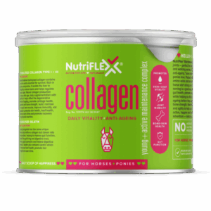 Maintenance Collagen For Horses