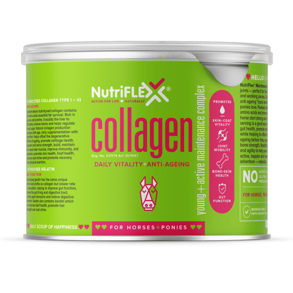 Maintenance Collagen For Horses