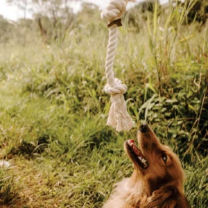 Huntlea Dog Rope Toy 2 Knot