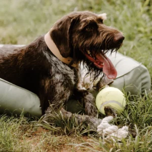 Huntlea Dog Rope Toy 2 Knot with 2 Hoof and Ball