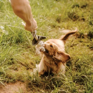 Huntlea Dog Rope Toy 2 Knot with 2 Hoof