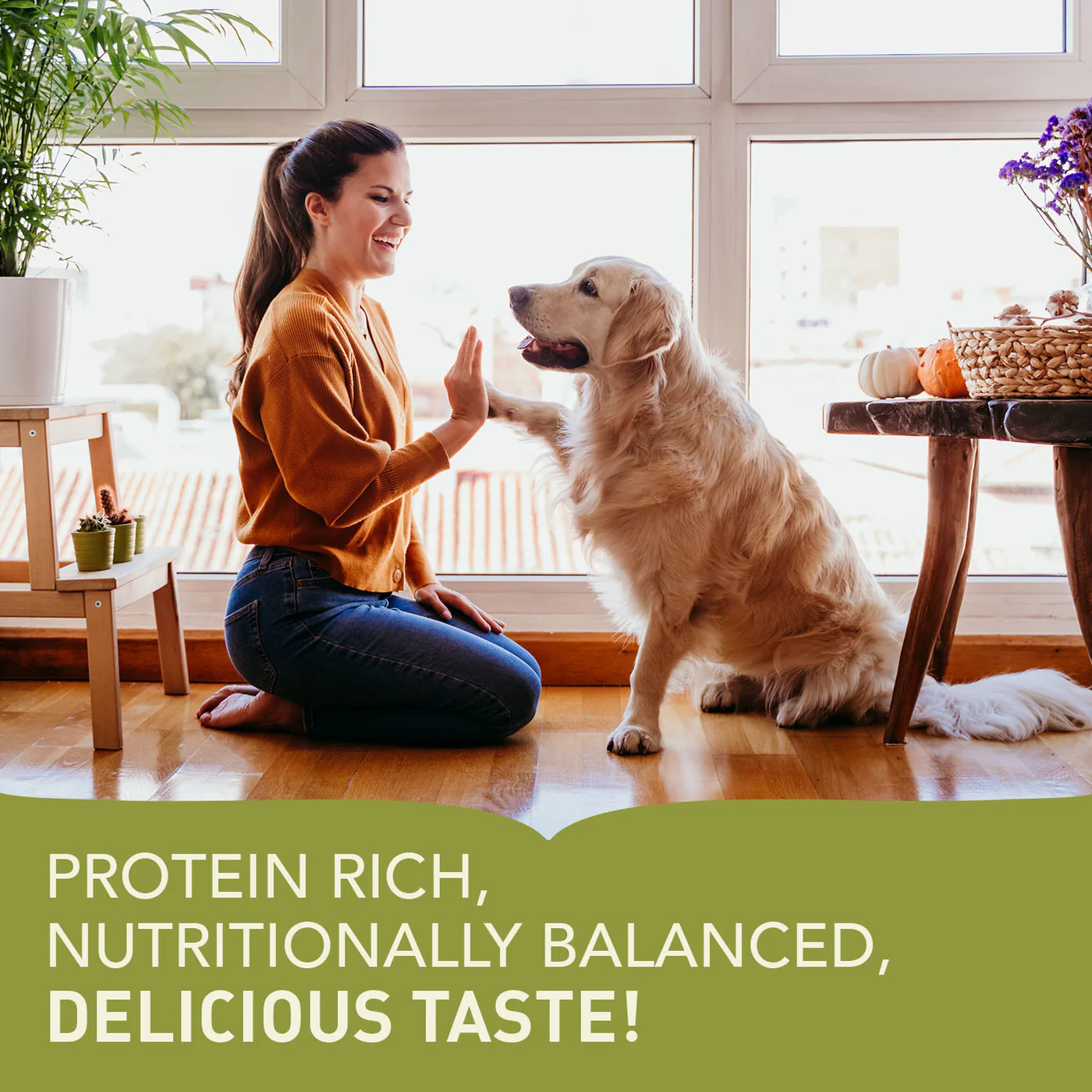 Acana Dog Adult Recipe - Image 10