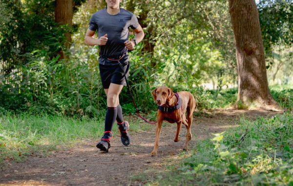 AirTech Sport Belt and Lead - Image 23