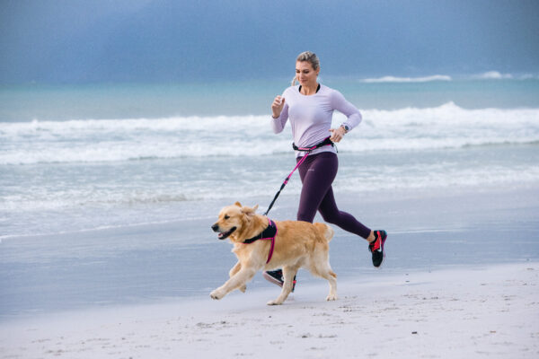 AirTech Sport Belt and Lead - Image 28