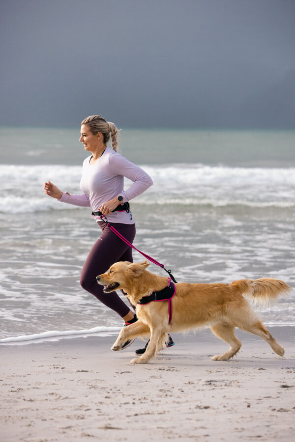AirTech Sport Belt and Lead - Image 34
