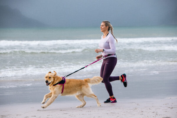 AirTech Sport Belt and Lead - Image 36