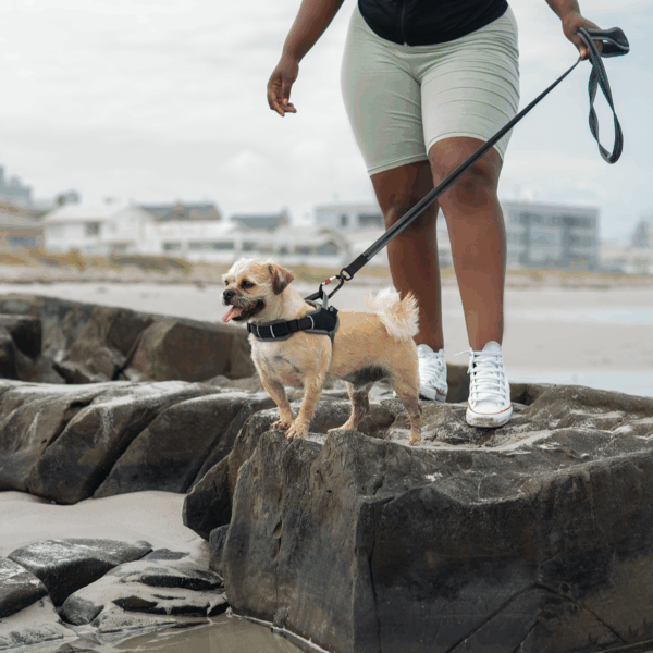 AirTech Sport Harness - Image 16