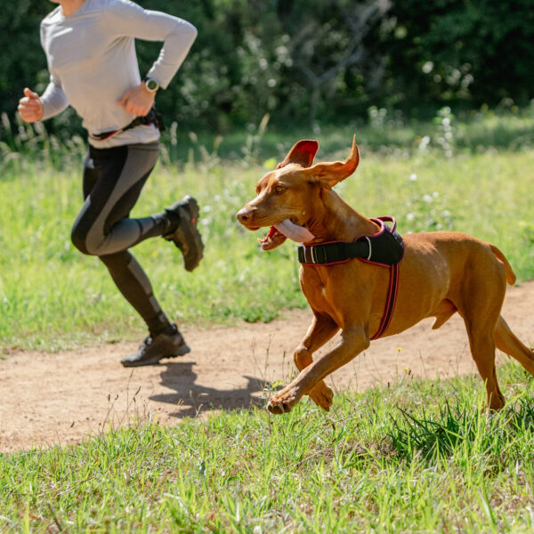 AirTech Sport Harness - Image 30