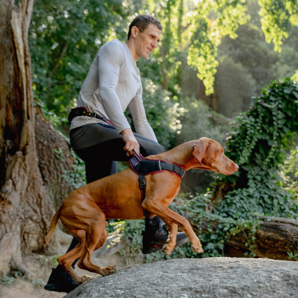 AirTech Sport Harness - Image 27