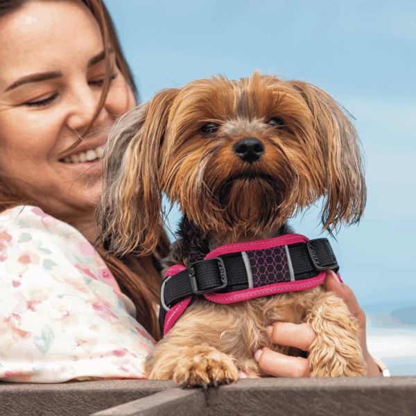 AirTech Sport Harness - Image 13