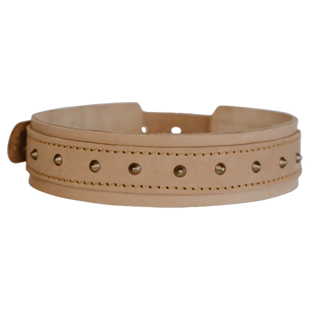Impala Bulldog Studded Leather Collar - Image 6