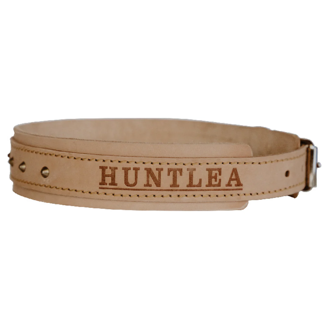 Impala Bulldog Studded Leather Collar - Image 5