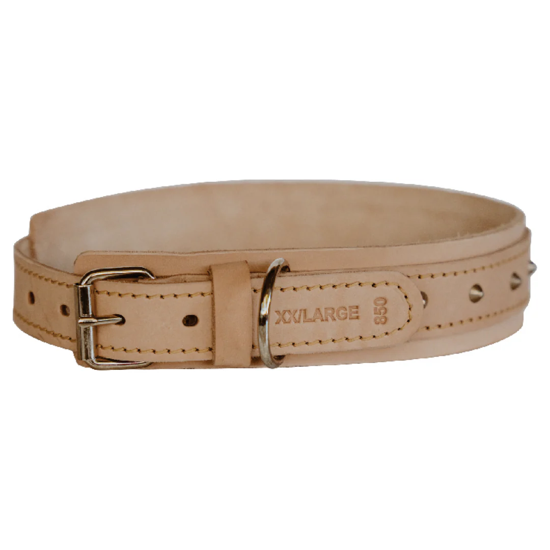 Impala Bulldog Studded Leather Collar - Image 4