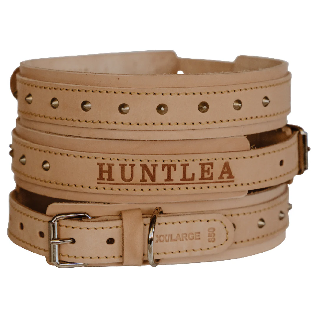Impala Bulldog Studded Leather Collar - Image 3