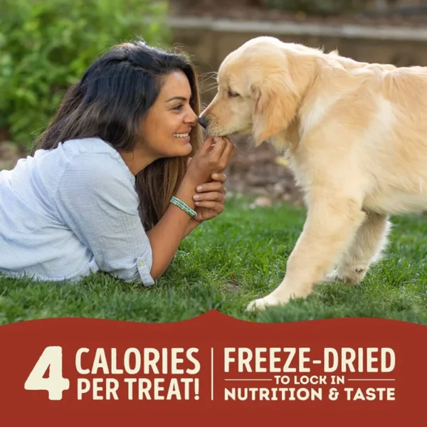 Acana Singles Freeze-Dried Dog Treats - Beef & Pumpkin - Image 2