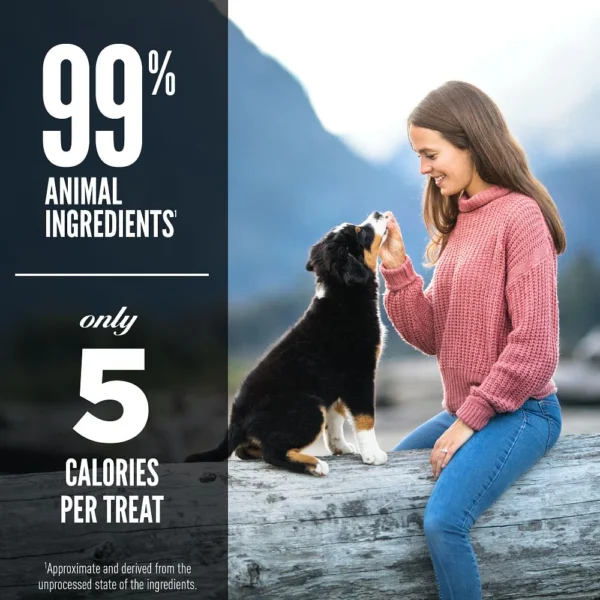 Orijen Ranch Raised Beef Freeze-Dried Dog Treats - Image 4