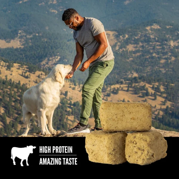 Orijen Ranch Raised Beef Freeze-Dried Dog Treats - Image 2