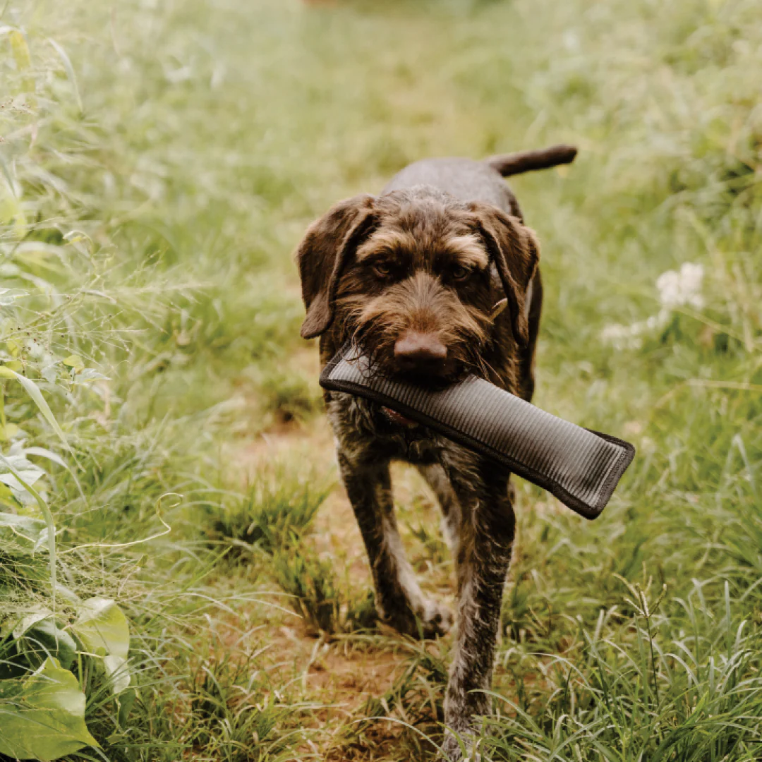 Huntlea Duplex Dog Toy