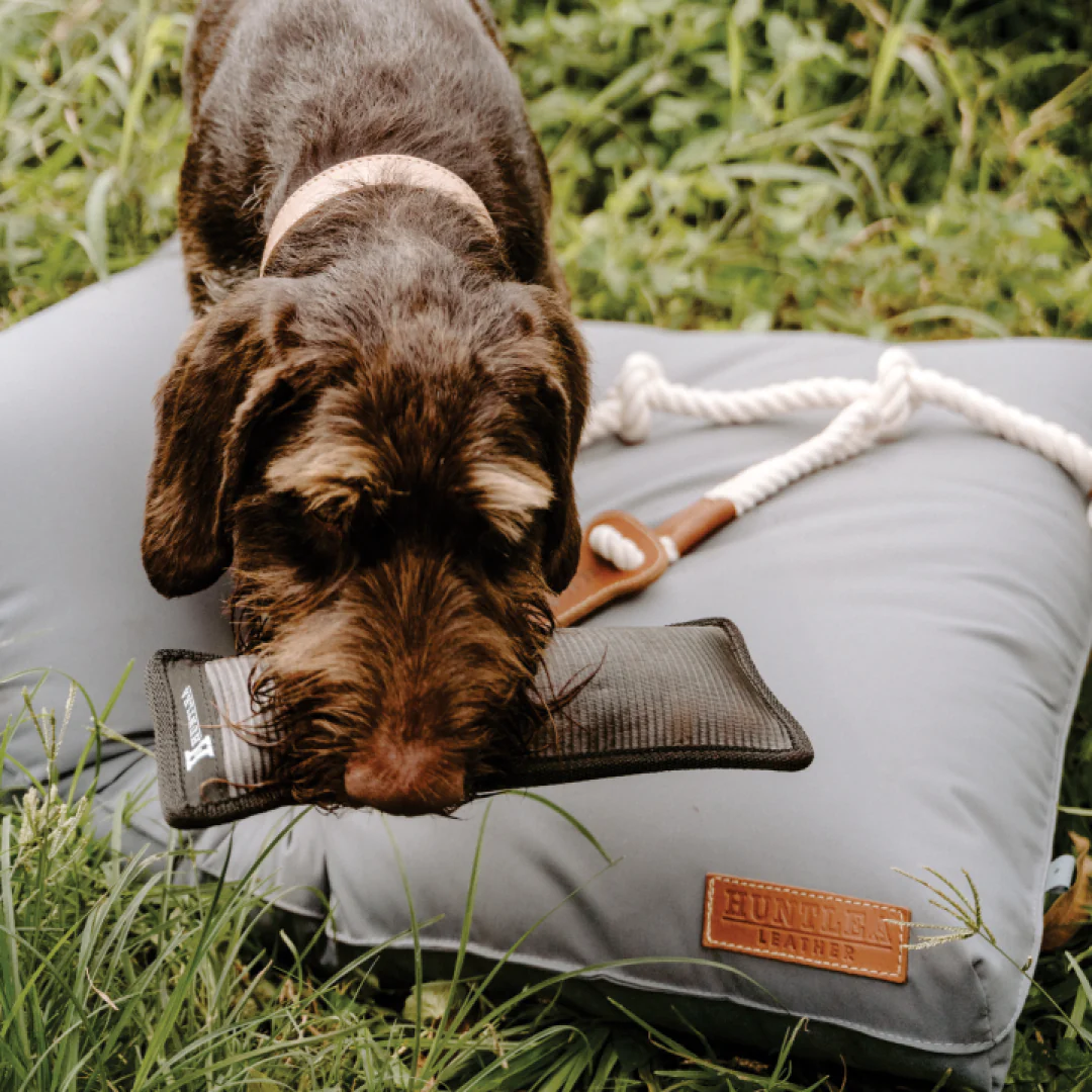 Huntlea Duplex Dog Toy - Image 3