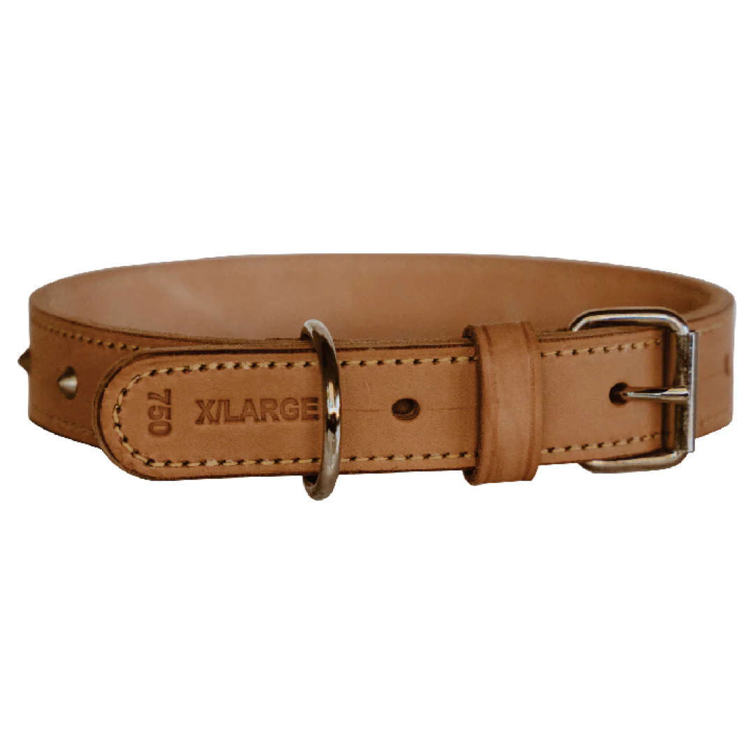 Impala Heavy Studded Dog Leather Collar - Image 7