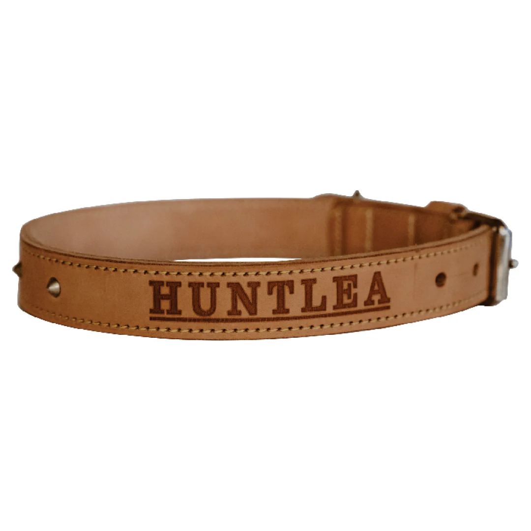 Impala Heavy Studded Dog Leather Collar - Image 6