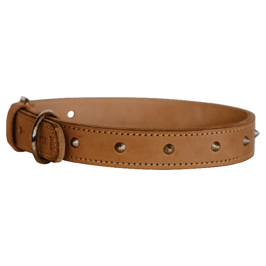 Impala Heavy Studded Dog Leather Collar - Image 5