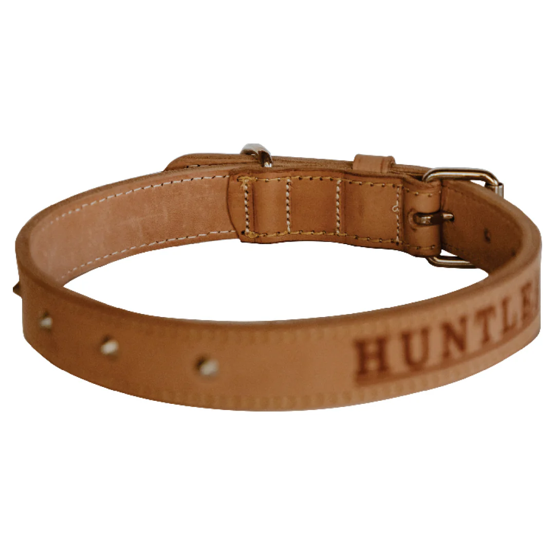Impala Heavy Studded Dog Leather Collar - Image 4