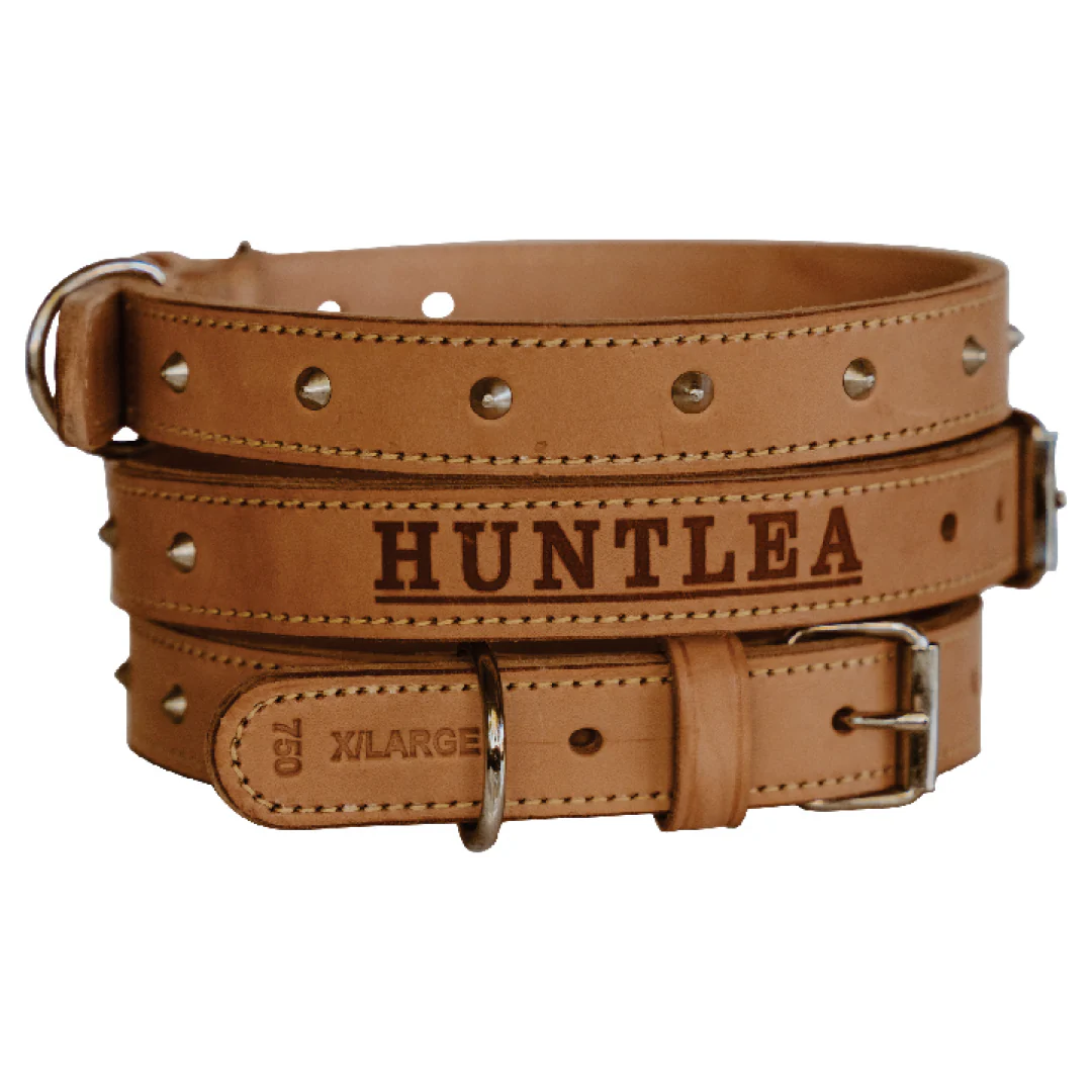 Impala Heavy Studded Dog Leather Collar - Image 3