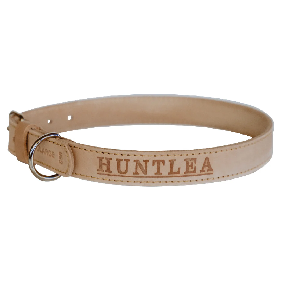 Impala Heavy Plain Dog Leather Collar - Image 3